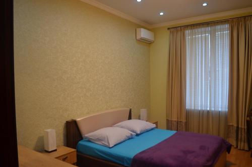 第比利斯Lagidze Apartment的一间卧室设有一张床和一个窗口