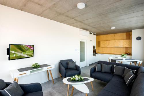 布拉格Residence Trafick的客厅配有沙发、椅子和电视