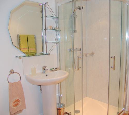 Bainbridge哈泽尔斯鲁斯特住宿加早餐旅馆的一间带水槽和淋浴的浴室