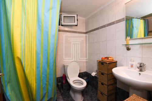 尼亚·卡利克拉提亚Summer House Toula的一间带卫生间和水槽的浴室