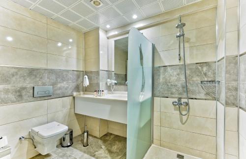 切什梅切什梅爱琴海郁金香酒店的带淋浴、卫生间和盥洗盆的浴室