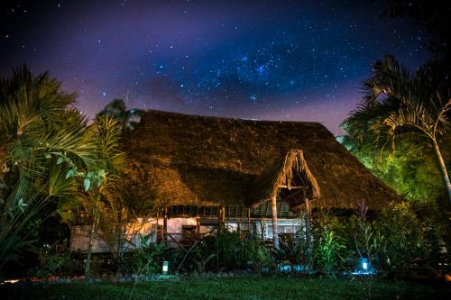 米萨华丽港Rio Napo Lodge的夜空下茅草屋顶的房子