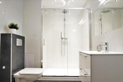 克拉科夫Krak Apartments的带淋浴、卫生间和盥洗盆的浴室