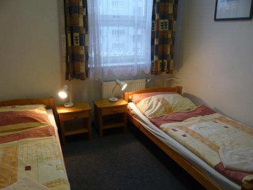 布拉格哈萨酒店的配有2张床的带窗户和2张桌子的客房