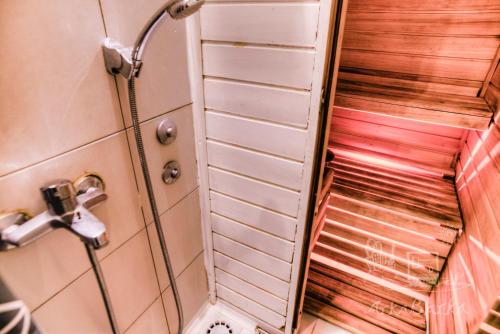 贝尔格莱德阿卡吧卡富娄汀旅馆的浴室内淋浴的顶部景色