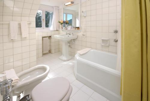 圣卡洛斯-德巴里洛切屯克林酒店的浴室配有卫生间、盥洗盆和浴缸。
