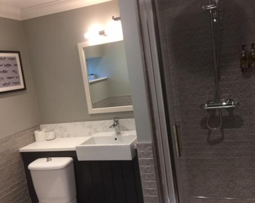 南特威奇The Swan Inn的浴室配有卫生间、盥洗盆和淋浴。