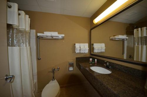 布朗克斯谢里登酒店的一间带水槽、镜子和淋浴的浴室