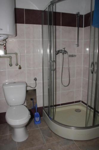 NalžoviceChaty u Toma Slapy的一间带卫生间和玻璃淋浴间的浴室