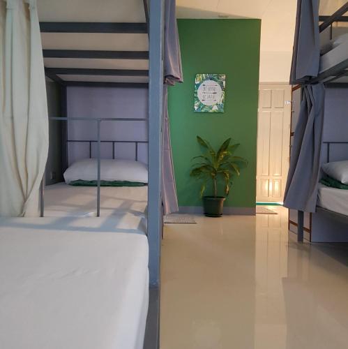 公主港Green Turtle Backpackers Guesthouse, Puerto Princesa的一间带两张双层床的卧室和植物