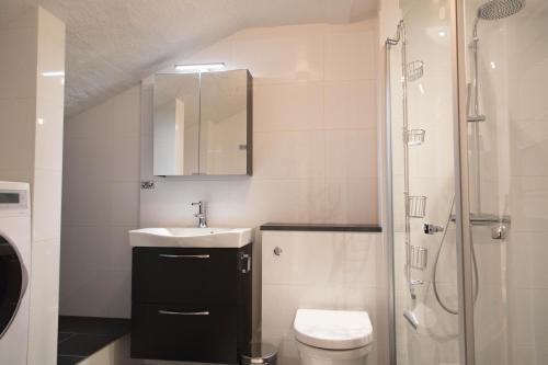 斯德哥尔摩Executive Living Östermalm Suite的一间带水槽、卫生间和淋浴的浴室