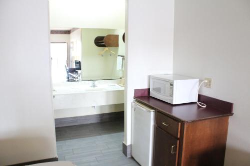 麦卡伦Texas Inn Downtown McAllen的一间带水槽和台面微波炉的浴室