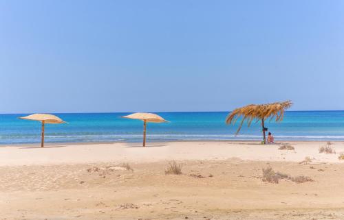 帕洛港Al Mare的海滩上的三把草伞与海洋