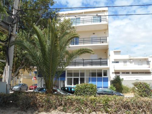 阿特米达Eleni's seafront apartment的一座建筑前的棕榈树