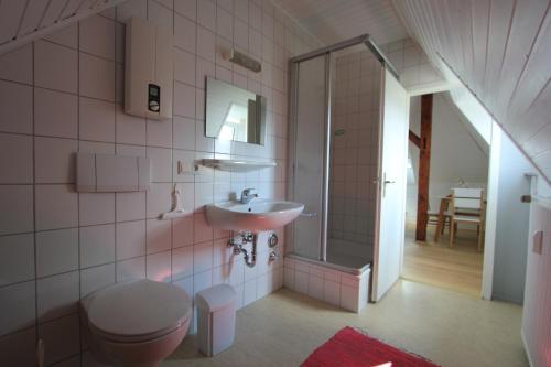 兰河畔马尔堡Haus Victoria的粉红色的浴室设有卫生间和水槽