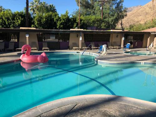 Vagabond Motor Hotel - Palm Springs内部或周边的泳池