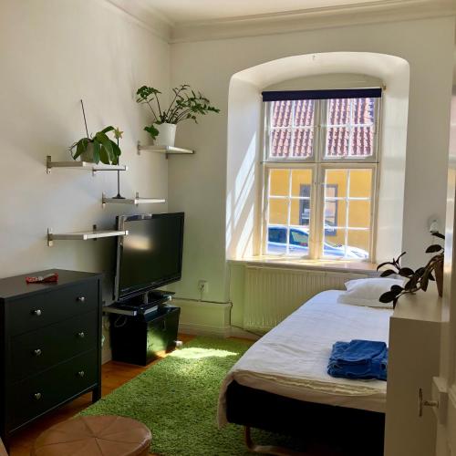 维斯比Specksrum 3的一间卧室设有一张床、一台电视和一个窗口。