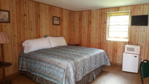 威斯康星戴尔Alpine Motel in heart of Wisconsin Dells downtown.的一间卧室设有一张床、一个窗口和一台电视