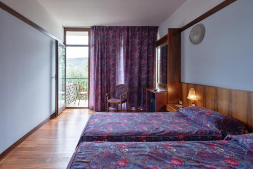 加尔达欧亚希公园酒店的一间卧室设有一张床和一个阳台