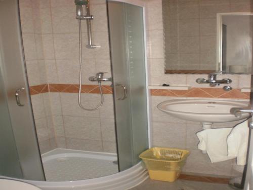 比尔杰卢特拉旅馆的带淋浴和盥洗盆的浴室