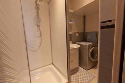 马翁普拉日堡APPARTEMENT 4 PERSONNES CLASSE 2 ETOILES LEBOUCQ Laurent的带淋浴和洗衣机的浴室