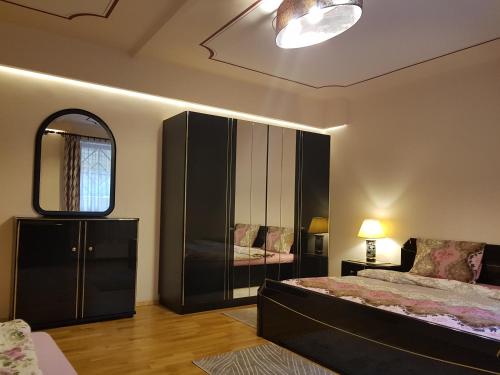 布达佩斯Palma Villa in City Park Budapest - semi suteren的一间卧室配有一张床、梳妆台和镜子
