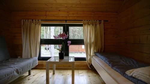 米泽德沃兹Gryf-Balt Domki drewniane的客房设有两张床、一张桌子和一扇窗户。