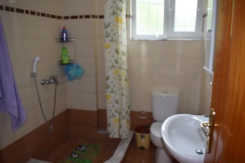 希马拉Freddie' s House的带淋浴、卫生间和盥洗盆的浴室