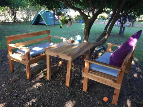 契拉勒Cirali Friends Pension&Camping的一张野餐桌和两把椅子坐在树下