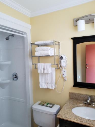 萨默赛德Sunny Isle Motel的一间带卫生间、水槽和镜子的浴室