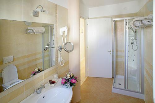 帕尔马诺瓦埃道奇酒店的一间带水槽、淋浴和卫生间的浴室