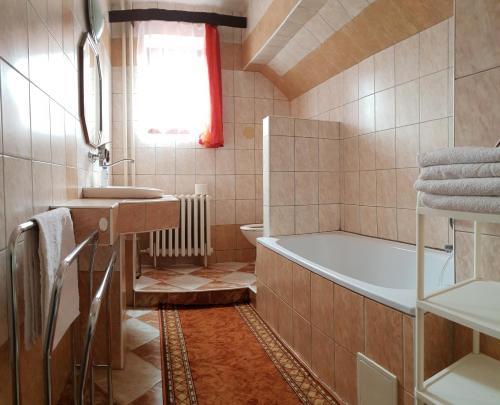 利普托斯基米库拉斯Apartment Janka Demanova的带浴缸和盥洗盆的浴室