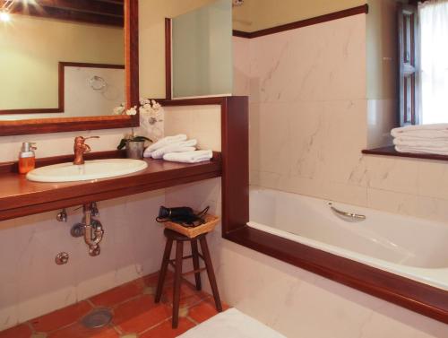 因菲耶斯托Casas Rurales Asturias Campon Antrialgo的一间带水槽、浴缸和镜子的浴室