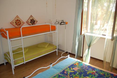 利扎诺COOEE Surf House and Hospitality的一间卧室设有两张双层床和一扇窗户。