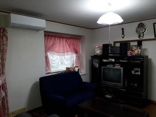 仙台Jukichi Owada Residence的客厅配有蓝椅和电视