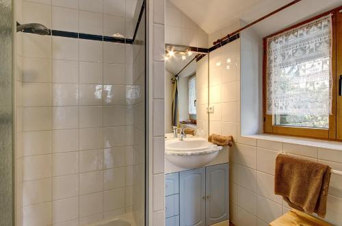 Locoal-Mendon柯维恩农场住宿加早餐旅馆的一间带水槽和淋浴的浴室