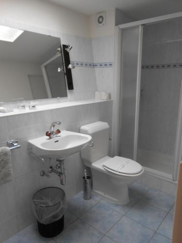 雷焦Appartamenti Villa Colibri的浴室配有卫生间、盥洗盆和淋浴。