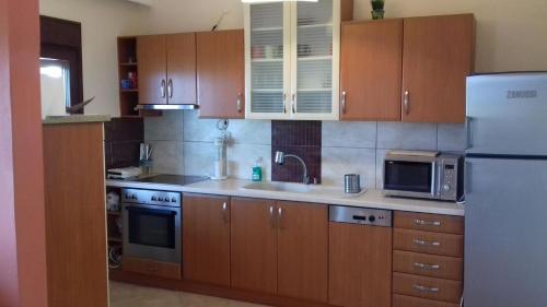 尼亚普拉莫斯Ammolofoi Villa Maria sea view的厨房配有木制橱柜和白色冰箱。