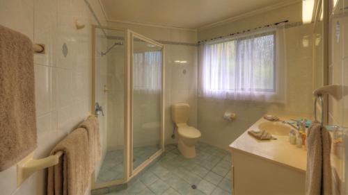 彭特派因松声度假屋的带淋浴、卫生间和盥洗盆的浴室