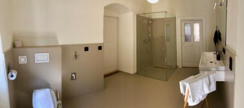 布莱堡Haus Franco的带淋浴、盥洗盆和镜子的浴室