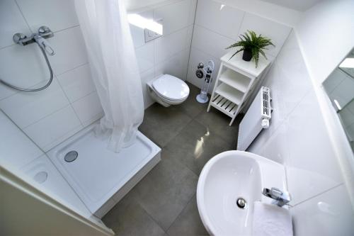 科隆Exclusive Apartment Cologne的白色的浴室设有卫生间和水槽。