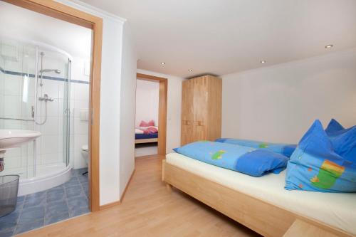 平茨高谷地霍勒尔斯巴赫霍切威姆度假别墅的一间卧室配有一张带蓝色枕头的床和淋浴。
