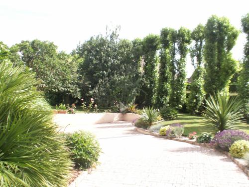 库尔瑟勒·苏尔·梅尔chambre normande的花园中种有植物和树木的走道