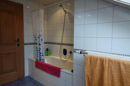 RiegseeHaus Riegseeblick的带淋浴和浴帘的浴室
