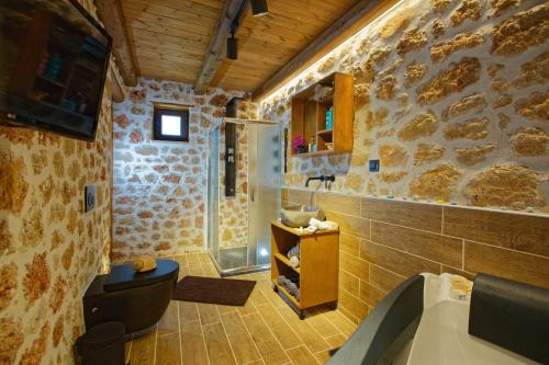 玛利亚Villa Kallia & George的带淋浴、卫生间和浴缸的浴室
