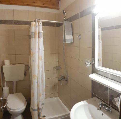 帕拉利亚卡泰里尼斯金星酒店的浴室配有卫生间、盥洗盆和淋浴。
