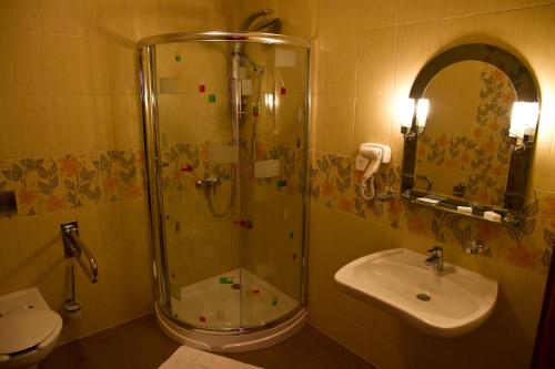 Gogolin卡罗林卡酒店的带淋浴和盥洗盆的浴室