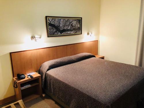 圣胡安省际大酒店的酒店客房设有一张床,墙上挂着一张照片