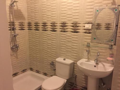 卢克索Gold Ibis Hotel的一间带卫生间和水槽的浴室