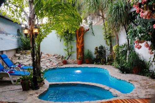 埃斯孔迪多港Hotel Careyes Puerto Escondido的棕榈树庭院中间的游泳池